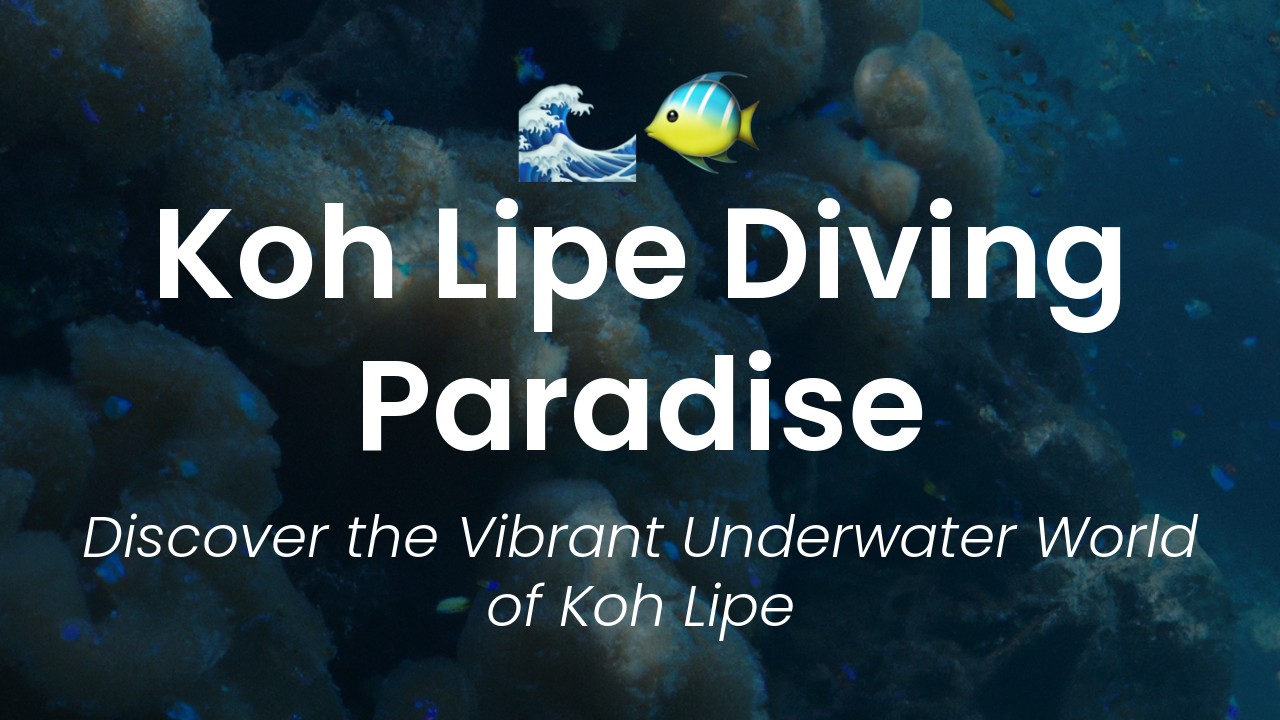 koh lipe diving featured image